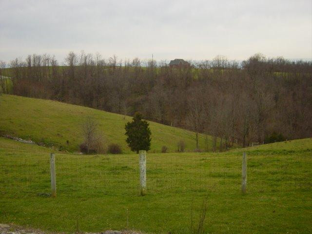 2766 Wagel Road Brooksville, KY 41004 - Photo 24 of 29 Gallery Image 24