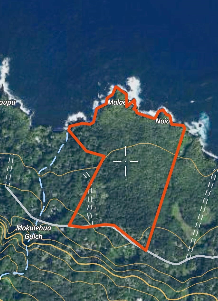 1-b Ulaino Road Haiku, HI 96708 - Photo 4 of 6 a view of a park