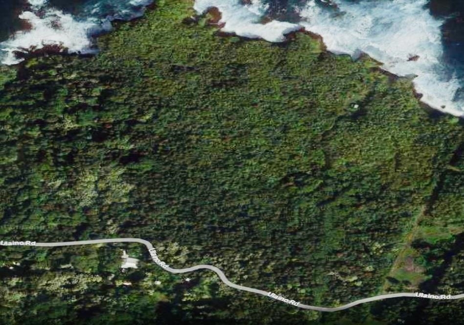 1-b Ulaino Road Haiku, HI 96708 - Photo 5 of 6 a view of a small yard