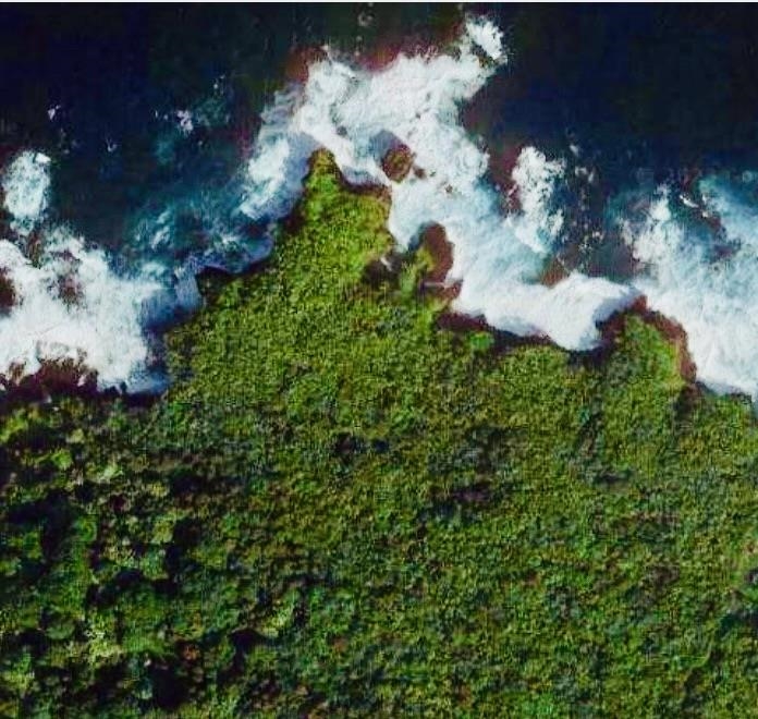 1-b Ulaino Road Haiku, HI 96708 - Photo 6 of 6 a view of a flower