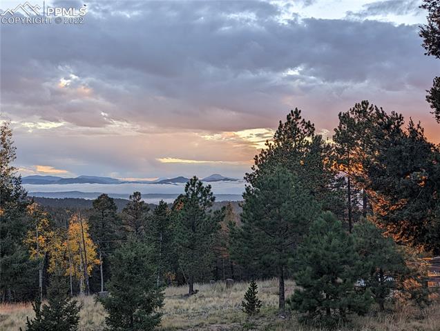 4 Kutsu Ridge Road Florissant, CO 80816 - Photo 37 of 47 Spectacular scenery!!