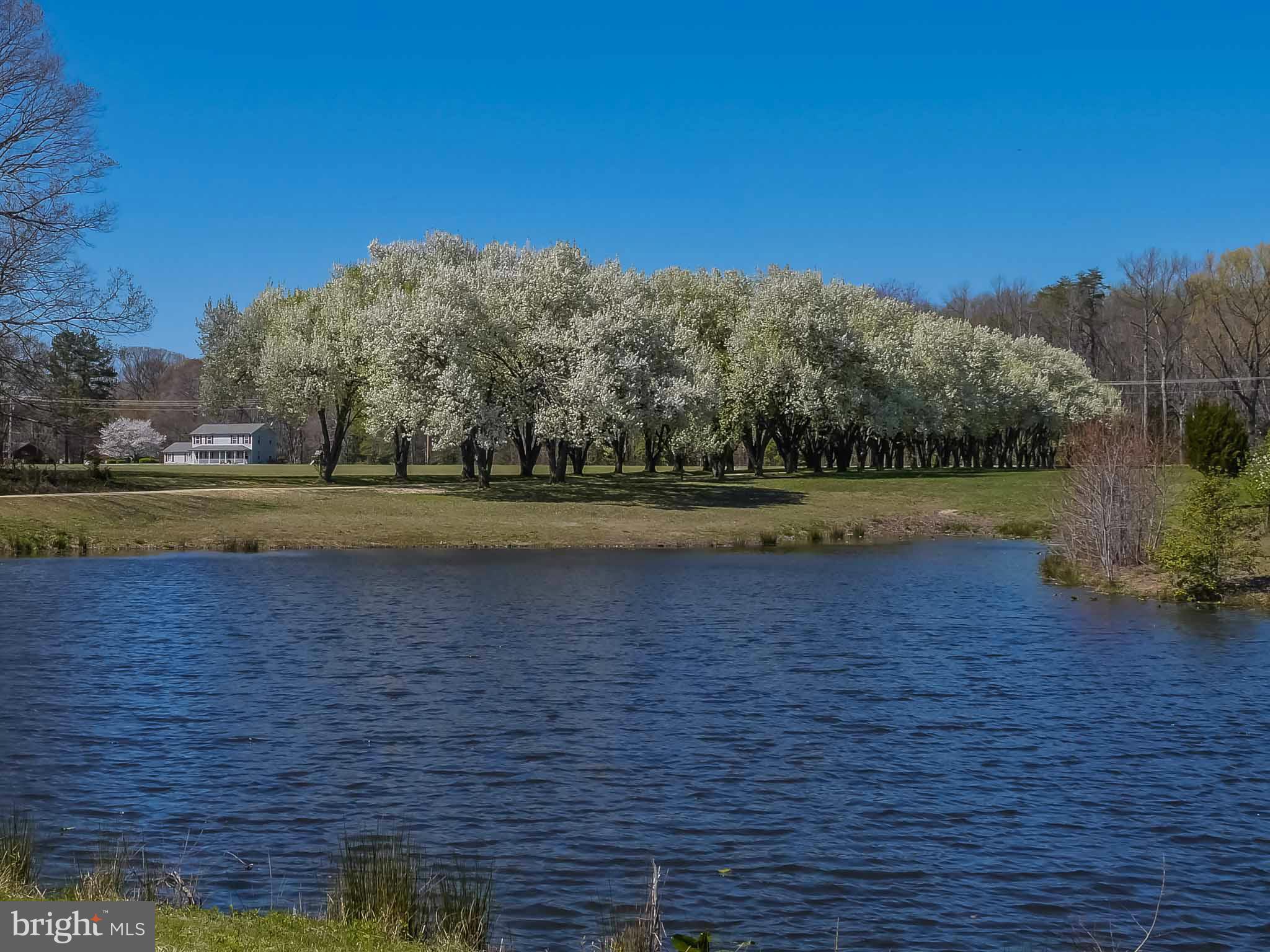 1901 Lowery Road Huntingtown, MD 20639 - Photo 3 of 30 a view of a swimming pool and lake