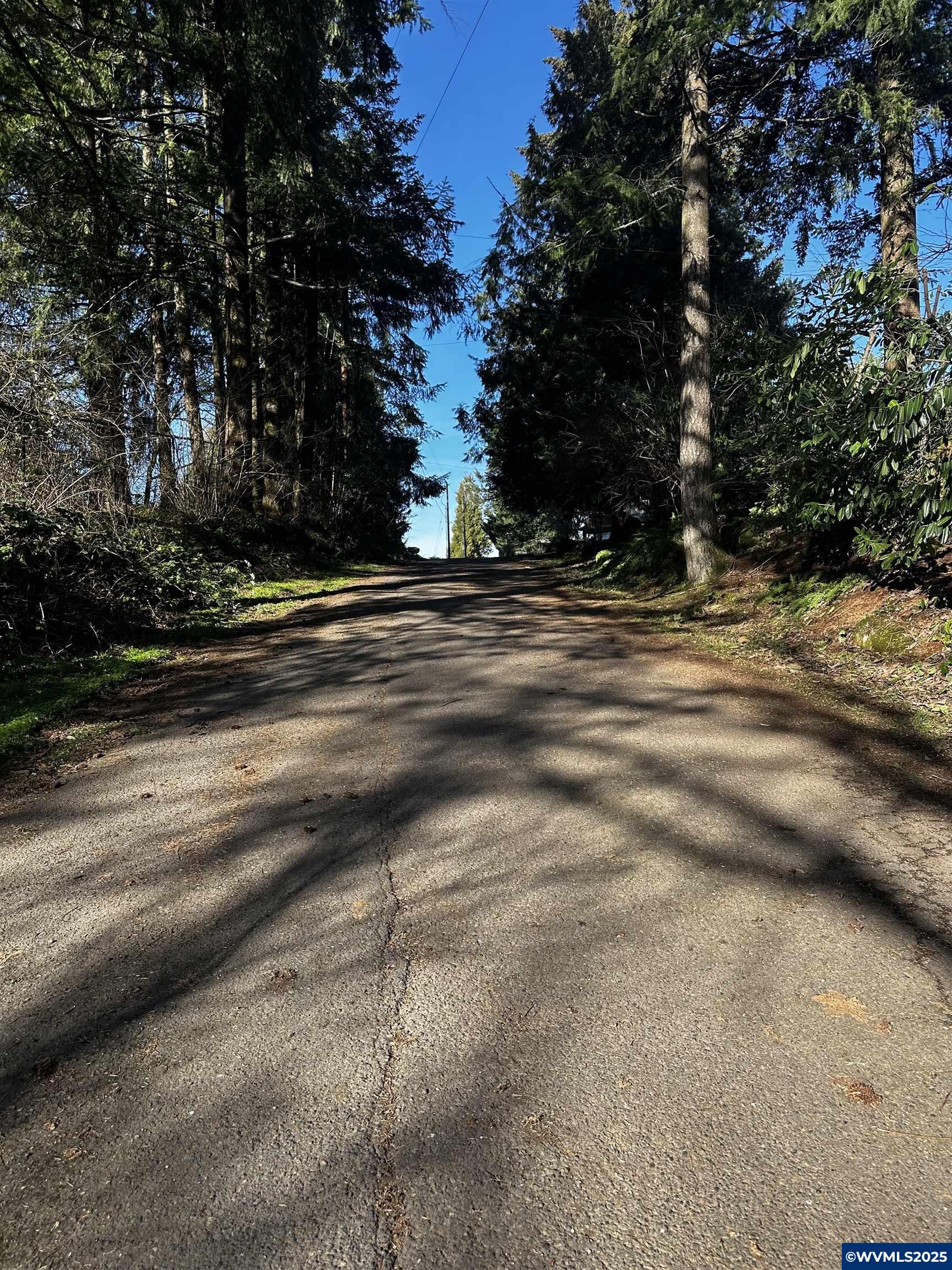 South Meyers (next To) Road Oregon City, OR 97045 - Photo 11 of 17