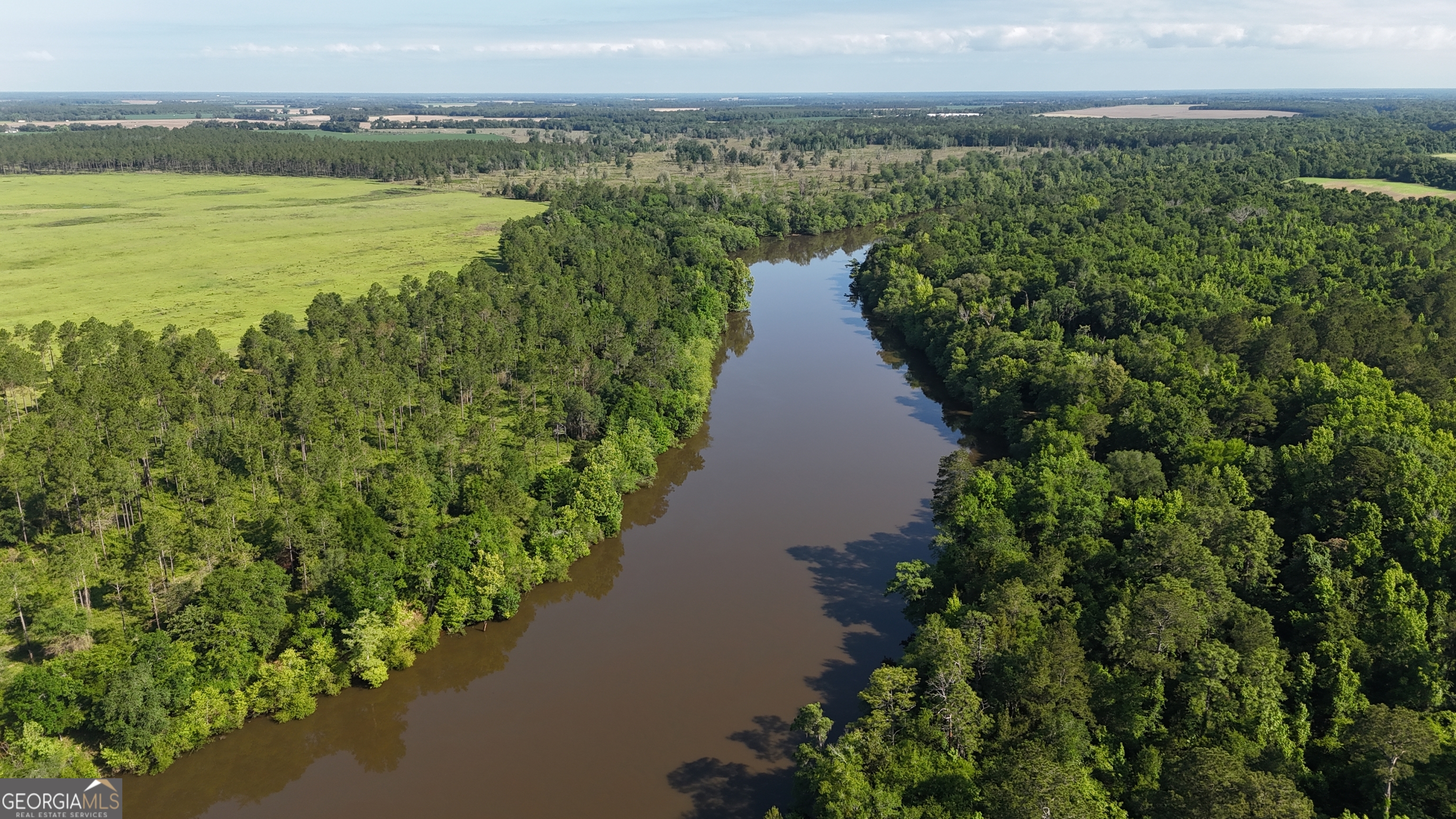 3349 East River Road Bainbridge, GA 39817 - Photo 3 of 18 a view of a lake with a mountain in the background