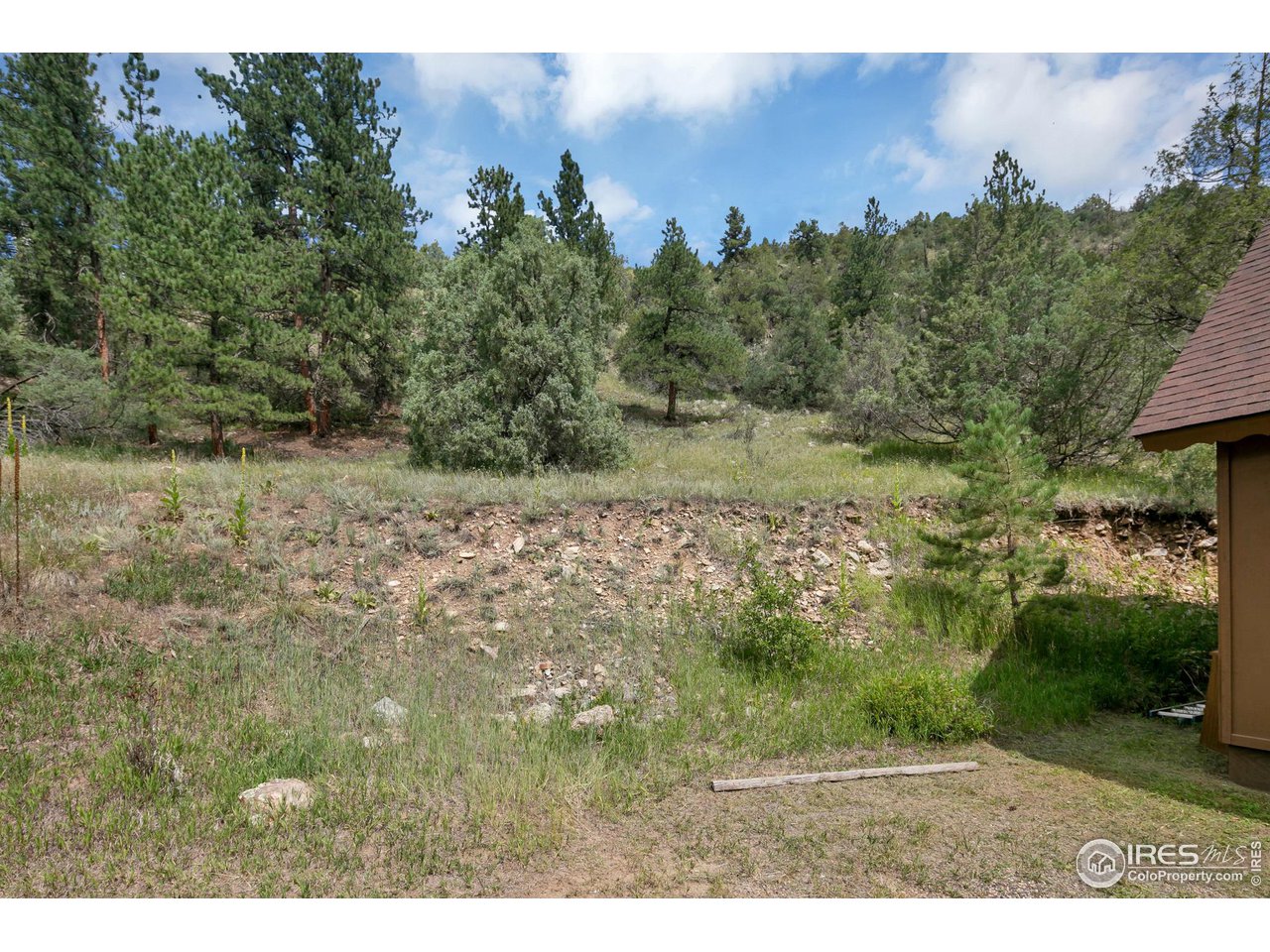 1052 Streamside Drive Drake, CO 80515 - Photo 29 of 31 a view of a yard with an trees