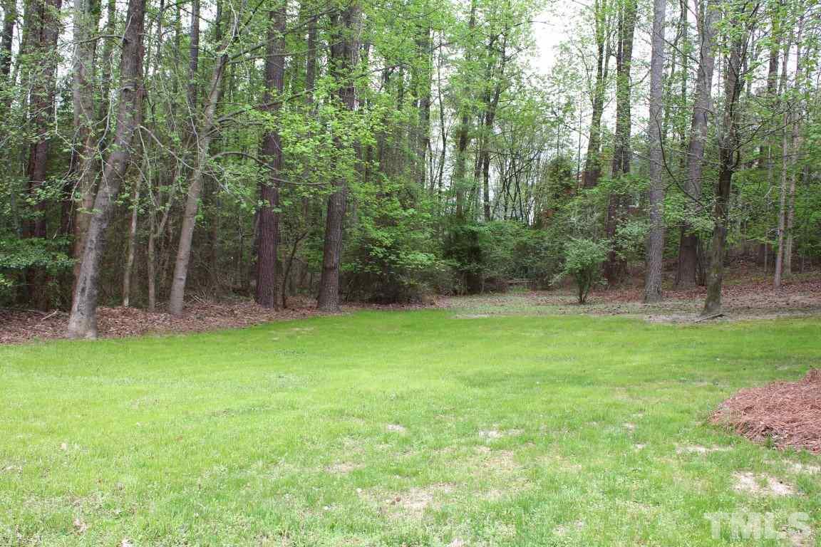 2720 Dahlgreen Road Raleigh, NC 27615 - Photo 20 of 25 a view of backyard with green space