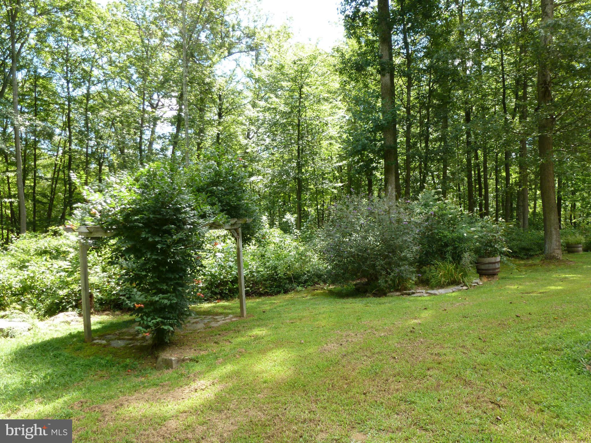 13600 Loy Wolfe Road Smithsburg, MD 21783 - Photo 18 of 28 Trumpet vines, butterfly bushes & peonies