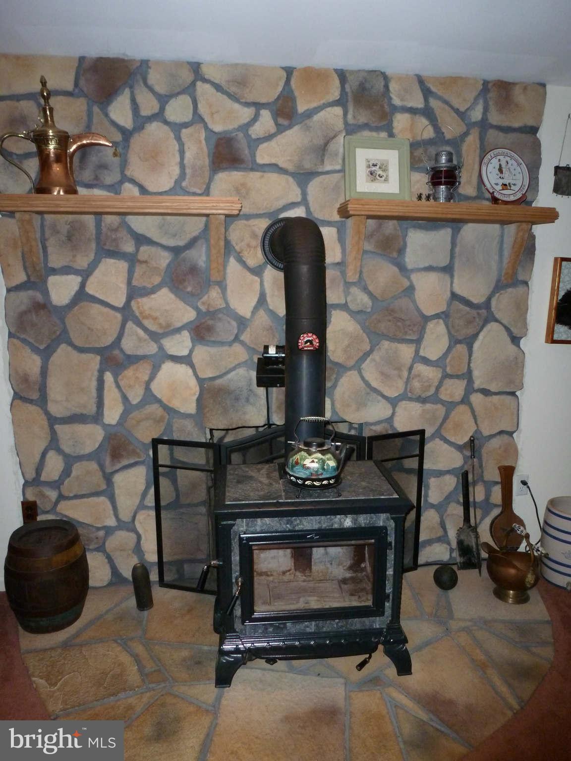 13600 Loy Wolfe Road Smithsburg, MD 21783 - Photo 24 of 28 Soapstone wood stove in the LL Family Room