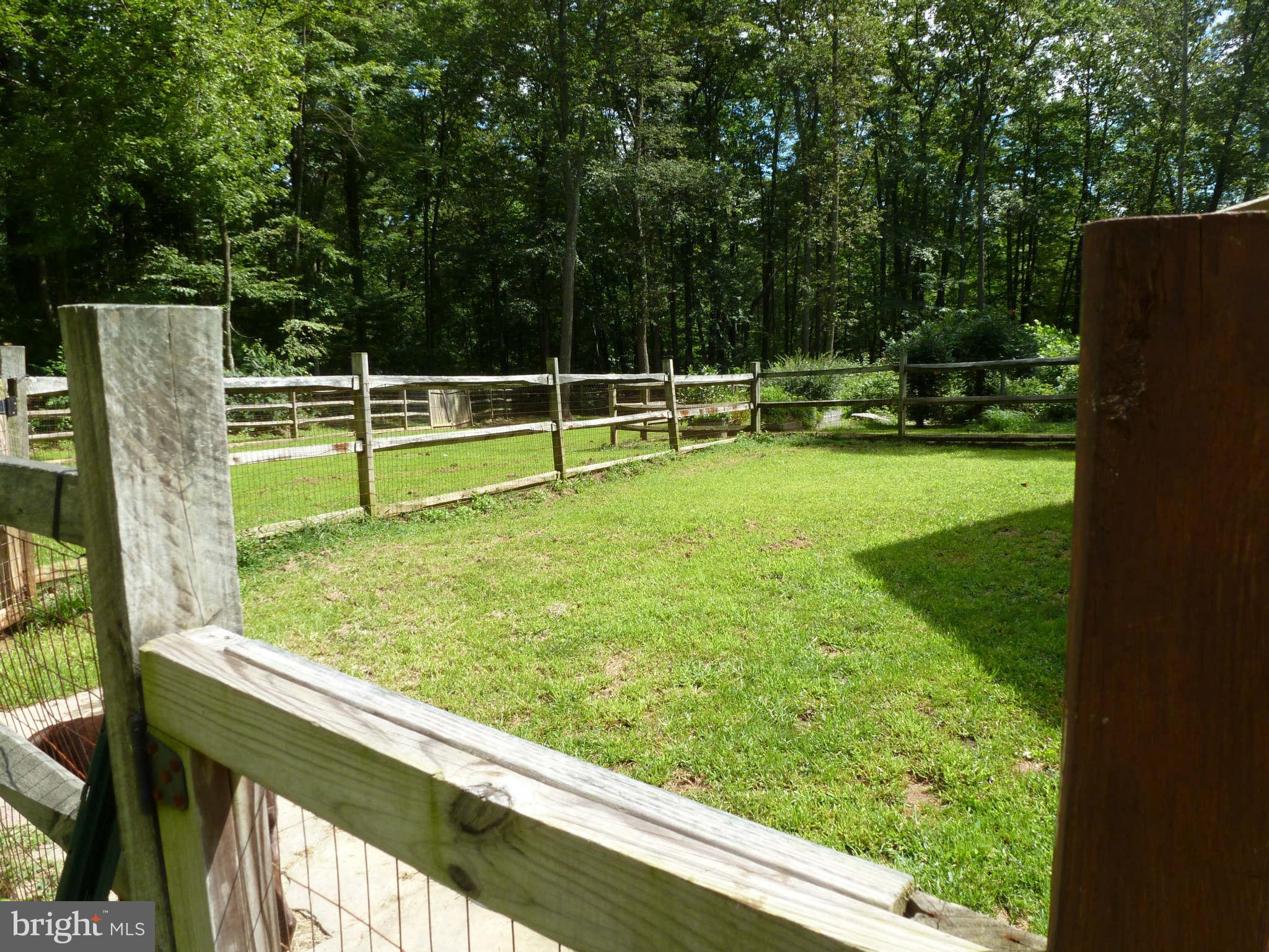 13600 Loy Wolfe Road Smithsburg, MD 21783 - Photo 6 of 28 Fenced pet/play areas