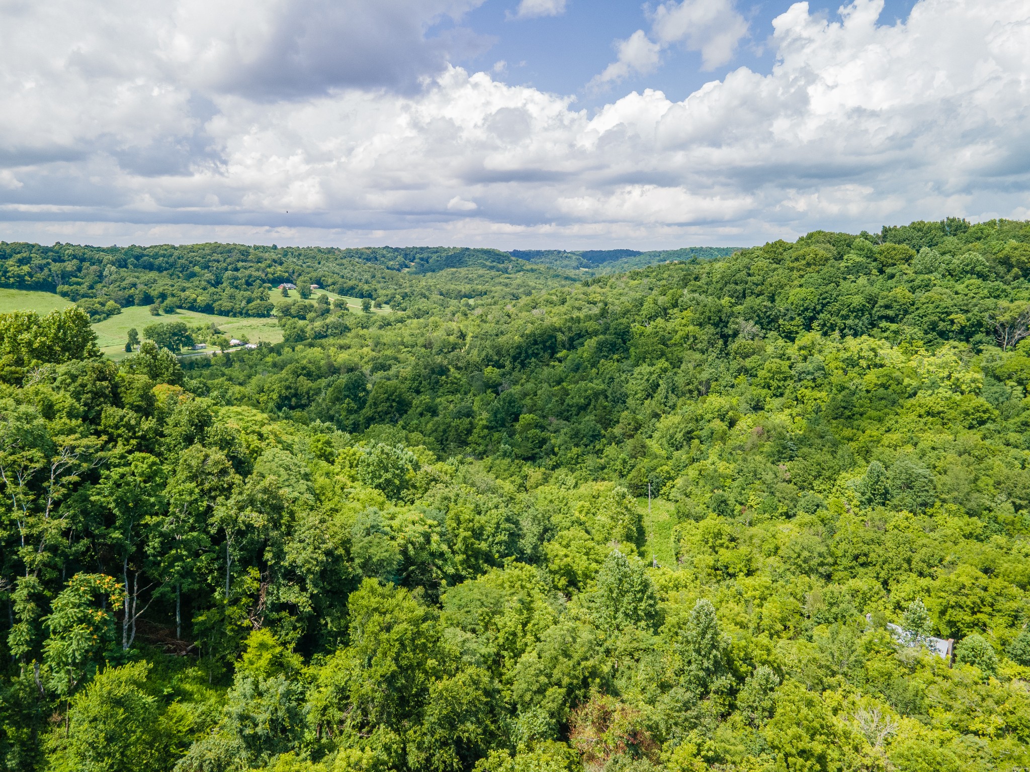 1700 Allen Brown Road Lewisburg, TN 37091 - Photo 31 of 80