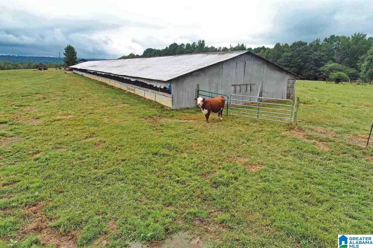 1099 Dailey Road, Unit 1 Altoona, AL 35952 - Photo 5 of 17