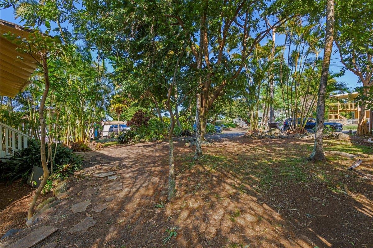 44 Puu KOA Place Haiku, HI 96708 - Photo 32 of 42 a view of outdoor space with trees