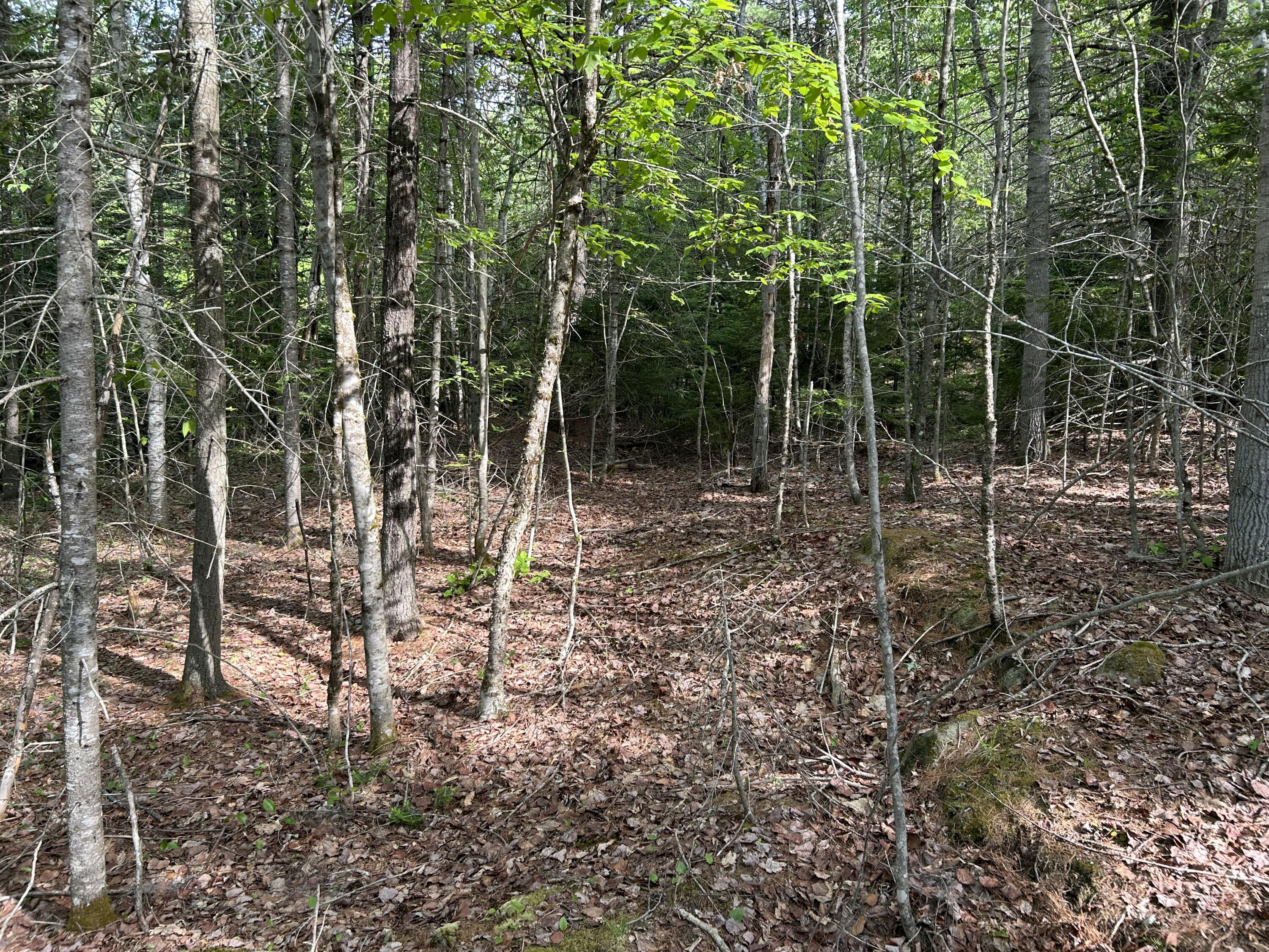 M5-l16 Clark Road Prospect, ME 04981 - Photo 30 of 45 IMG_8766