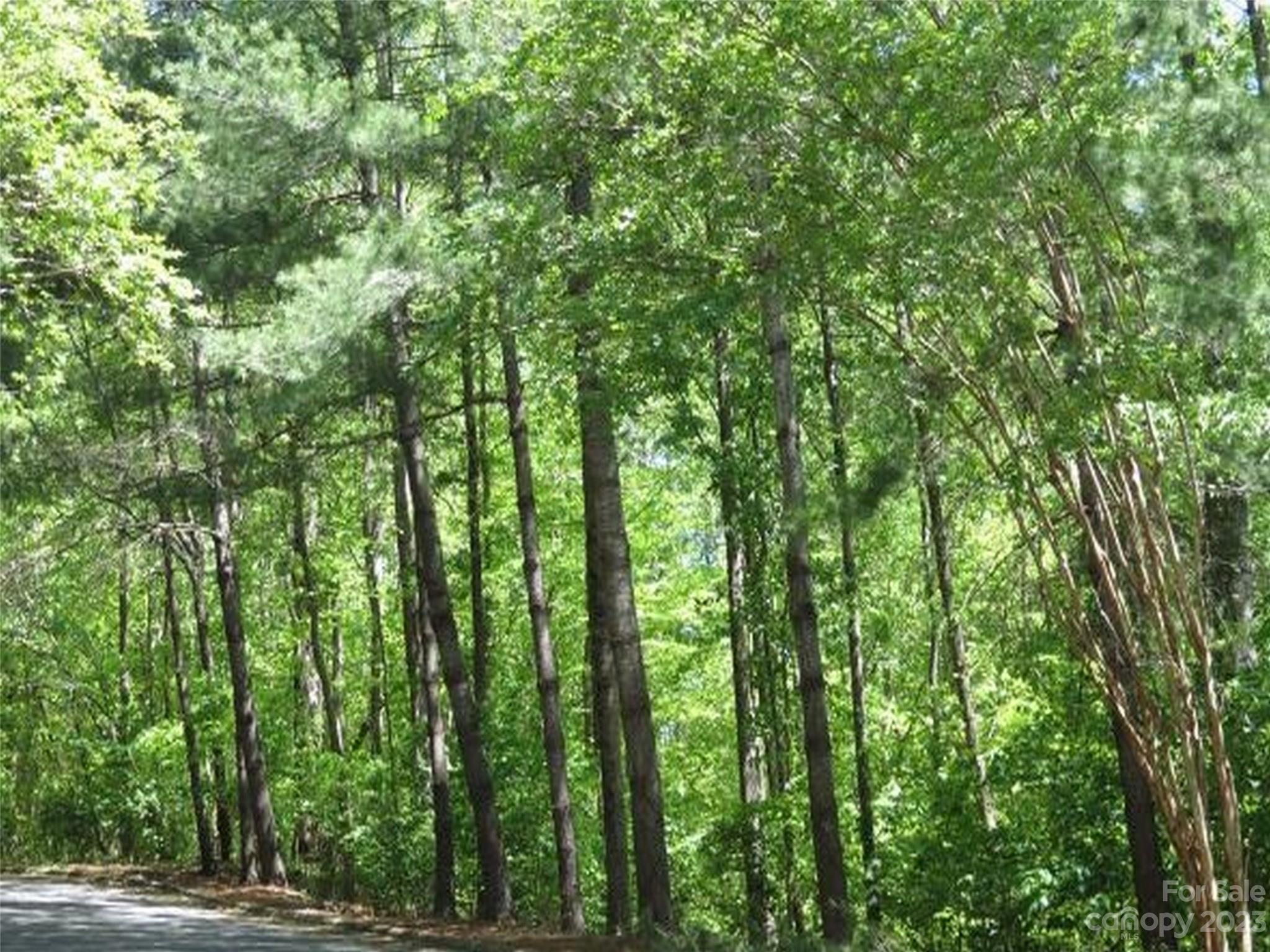 0 General Griffith Circle, Unit 25 Rutherfordton, NC 28139 - Photo 3 of 10 a view of outdoor space and trees