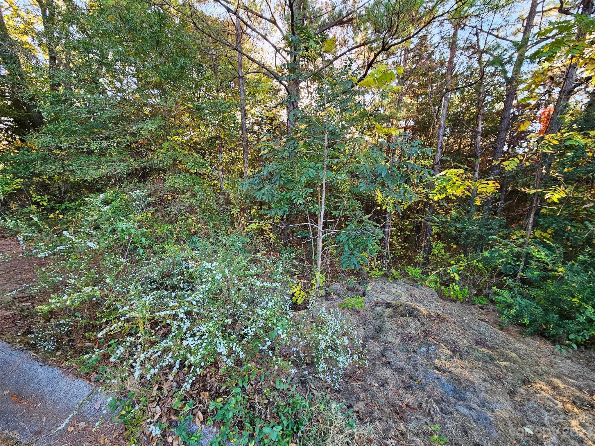 0 General Griffith Circle, Unit 25 Rutherfordton, NC 28139 - Photo 4 of 10 a view of a yard with a tree