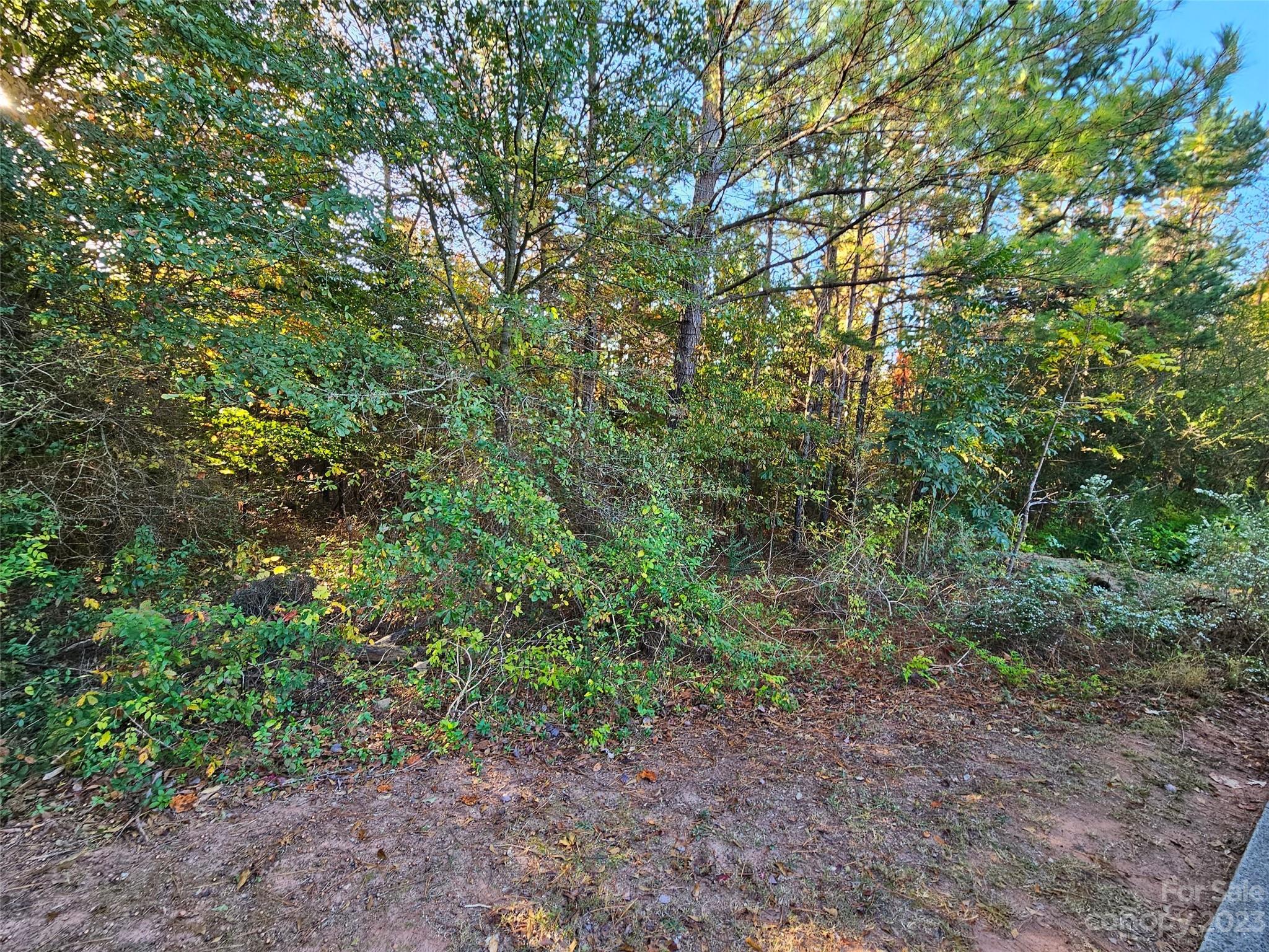0 General Griffith Circle, Unit 25 Rutherfordton, NC 28139 - Photo 5 of 10 a view of a yard with a tree