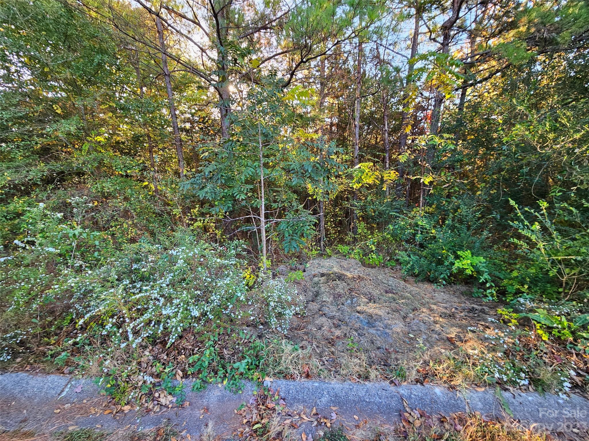 0 General Griffith Circle, Unit 25 Rutherfordton, NC 28139 - Photo 7 of 10 a view of forest
