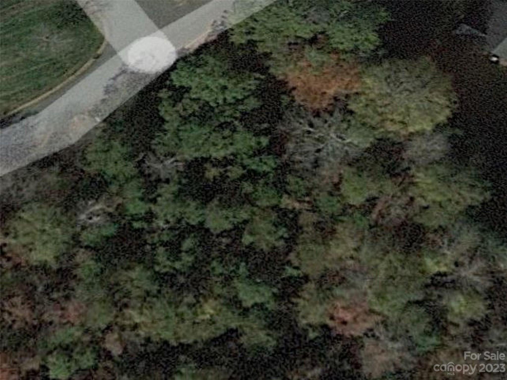 0 General Griffith Circle, Unit 25 Rutherfordton, NC 28139 - Photo 8 of 10 a view of a lush green forest