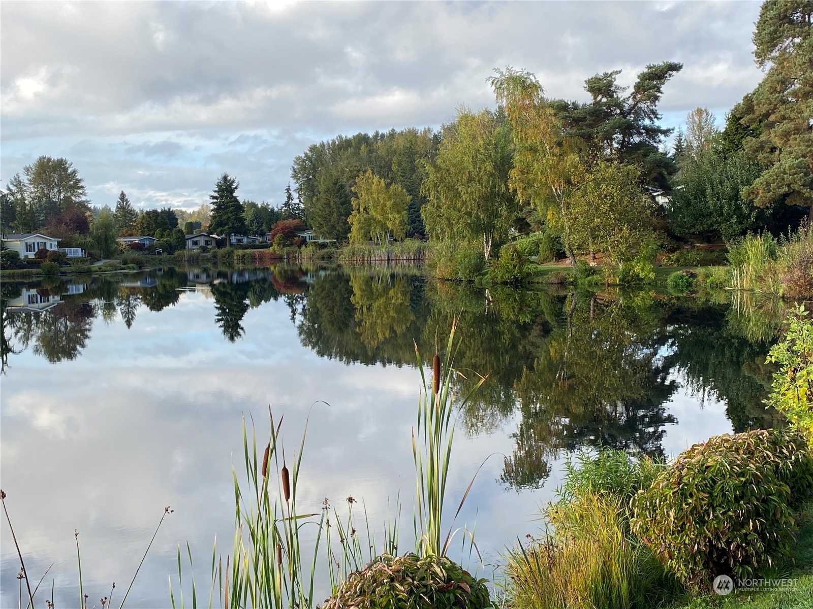24106 10th Place West Bothell, WA 98021 - Photo 29 of 29 a view of a lake in middle of the forest