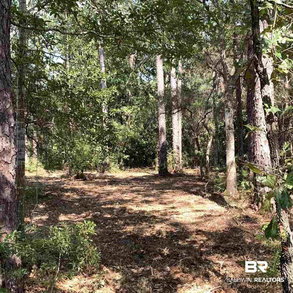 Yucatan Drive Elberta, AL 36530 - Photo 15 of 15