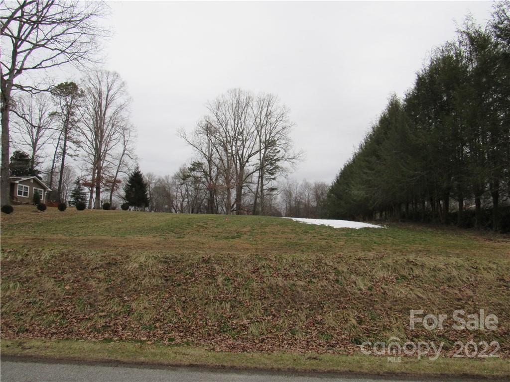 0 Gilreath Loop Road Mills River, NC 28759 - Photo 1 of 1 Gallery Image 1