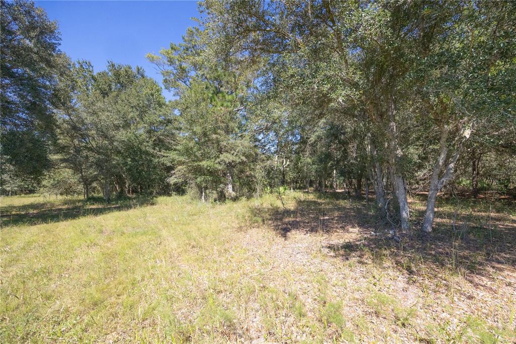 673 Webster Webster, FL 33597 - Photo 39 of 69 Gallery Image 39