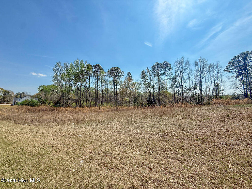 3 Connell Road Carthage, NC 28327 - Photo 8 of 15 8