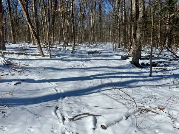 $195,000 | 231 Ives Settlement Road, Guilford, NY 13733