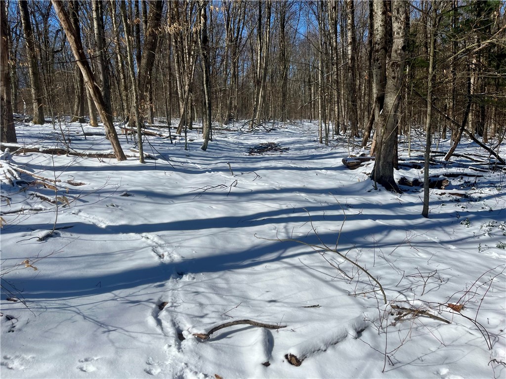 231 Ives Settlement Road Guilford, NY 13733 - Photo 11 of 35