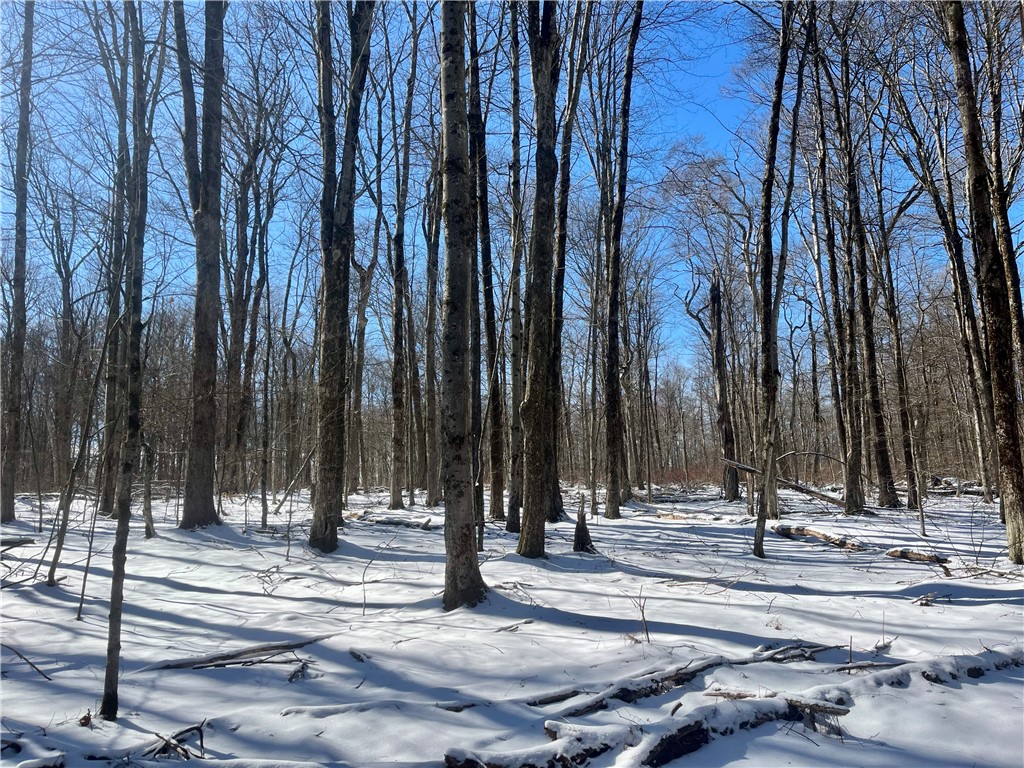 231 Ives Settlement Road Guilford, NY 13733 - Photo 12 of 35