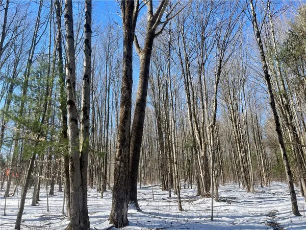 $195,000 | 231 Ives Settlement Road, Guilford, NY 13733