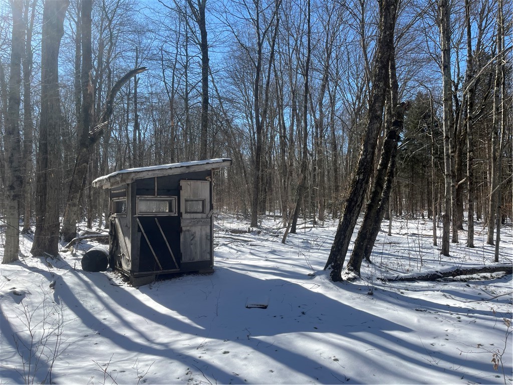 231 Ives Settlement Road Guilford, NY 13733 - Photo 14 of 35