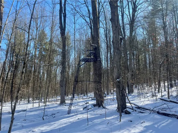 $195,000 | 231 Ives Settlement Road, Guilford, NY 13733