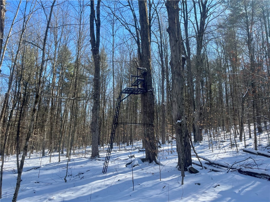 231 Ives Settlement Road Guilford, NY 13733 - Photo 15 of 35