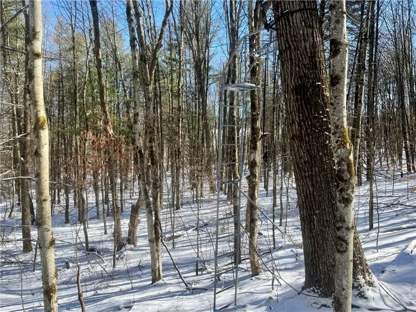 $195,000 | 231 Ives Settlement Road, Guilford, NY 13733