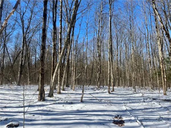 $195,000 | 231 Ives Settlement Road, Guilford, NY 13733