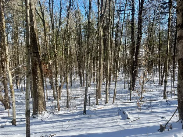 $195,000 | 231 Ives Settlement Road, Guilford, NY 13733