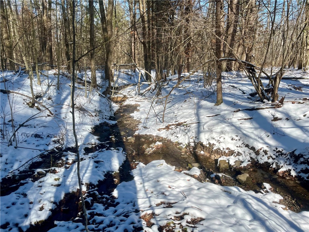 231 Ives Settlement Road Guilford, NY 13733 - Photo 19 of 35