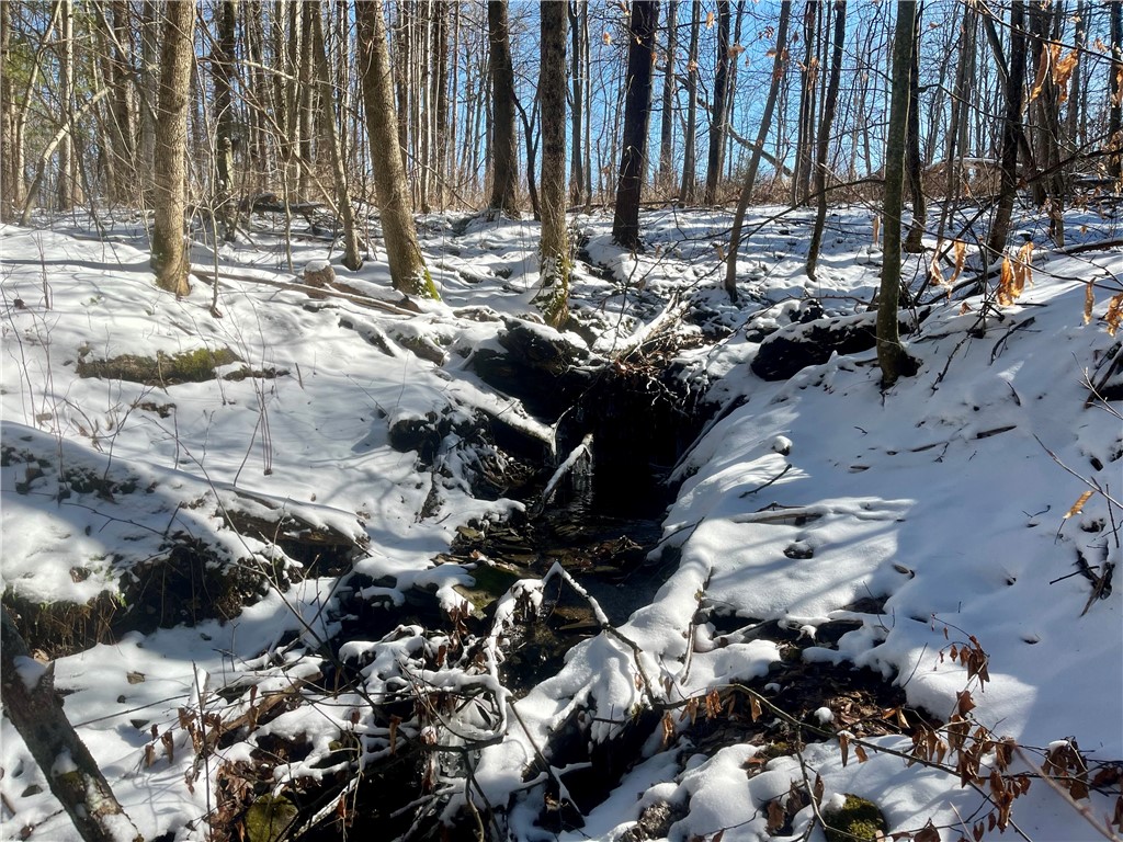 231 Ives Settlement Road Guilford, NY 13733 - Photo 20 of 35