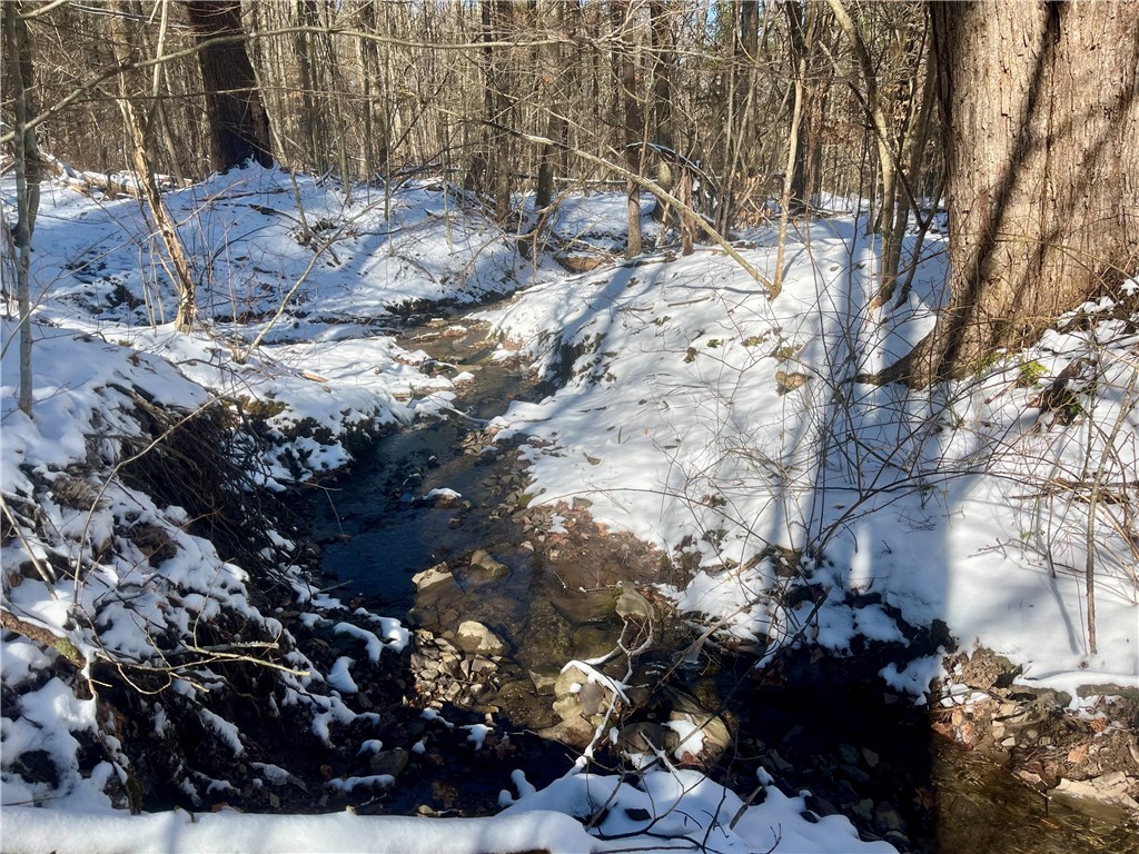 231 Ives Settlement Road Guilford, NY 13733 - Photo 21 of 35