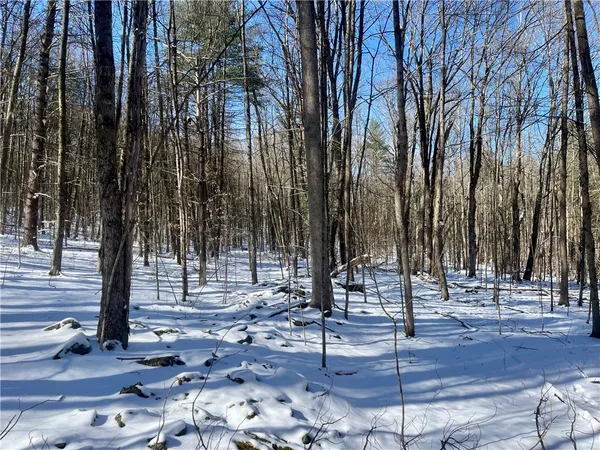 $195,000 | 231 Ives Settlement Road, Guilford, NY 13733