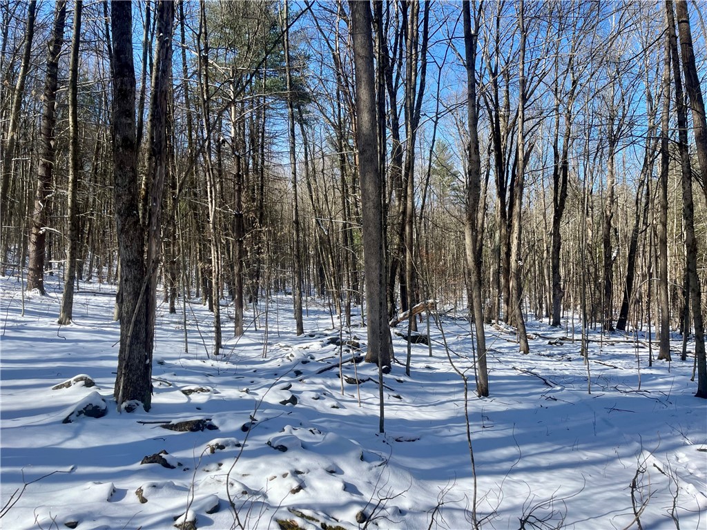 231 Ives Settlement Road Guilford, NY 13733 - Photo 10 of 35