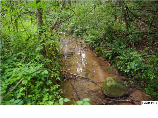 Crawfords View Road Afton, VA 22920 - Photo 6 of 9 Strong running creek is back boundary