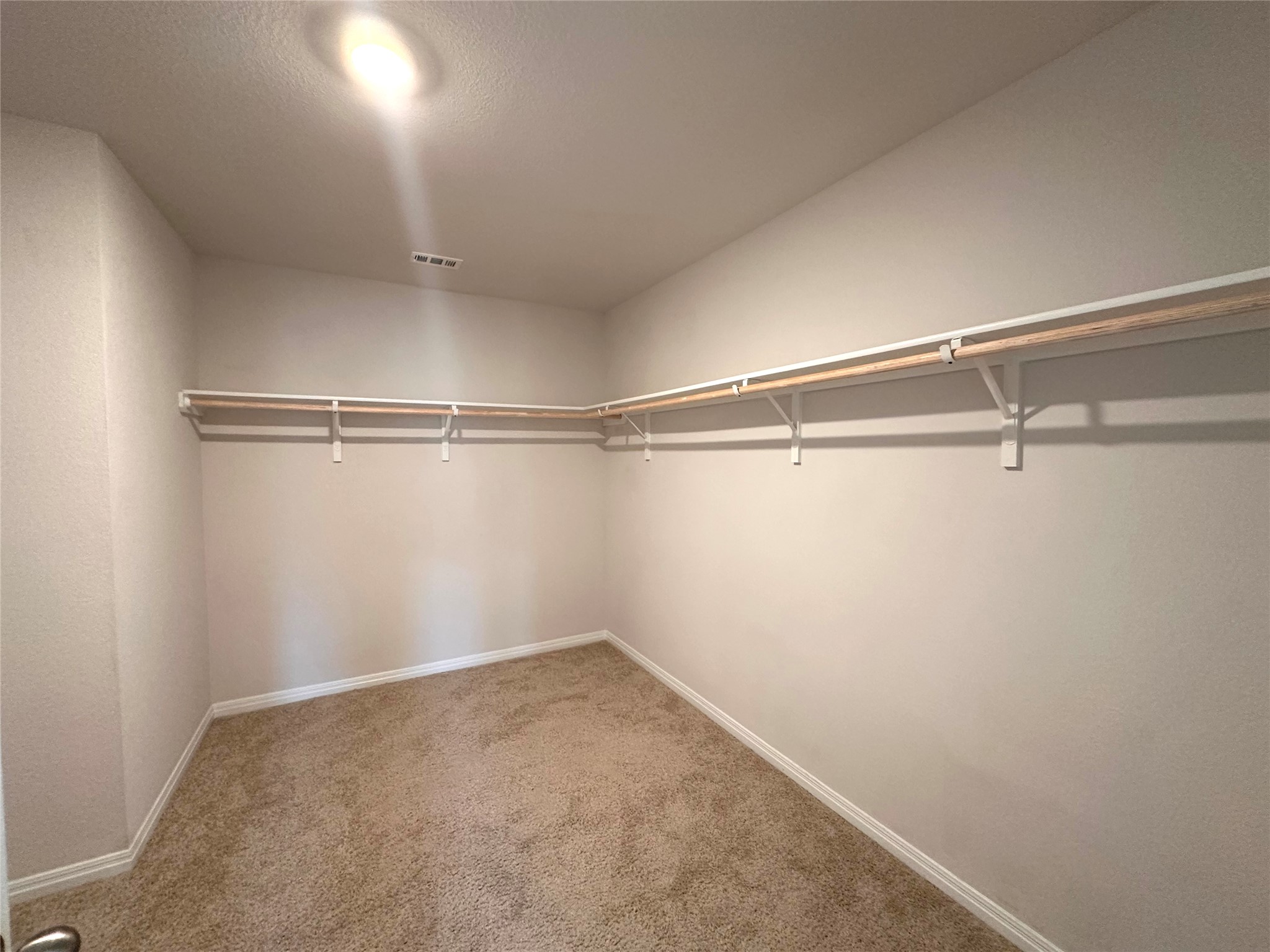 13804 Thomas Wheeler Way Manor, TX 78653 - Photo 17 of 27 Walk in closet with light carpet