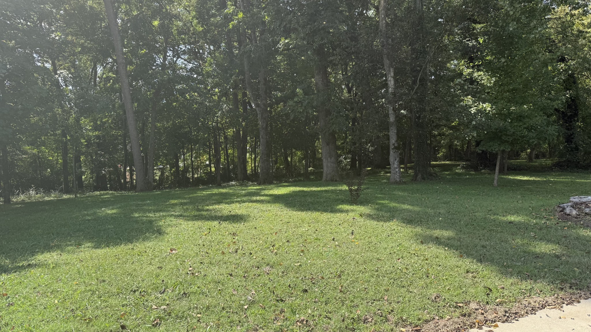 219 Waterloo Street Lawrenceburg, TN 38464 - Photo 34 of 39 a view of outdoor space with deck and yard