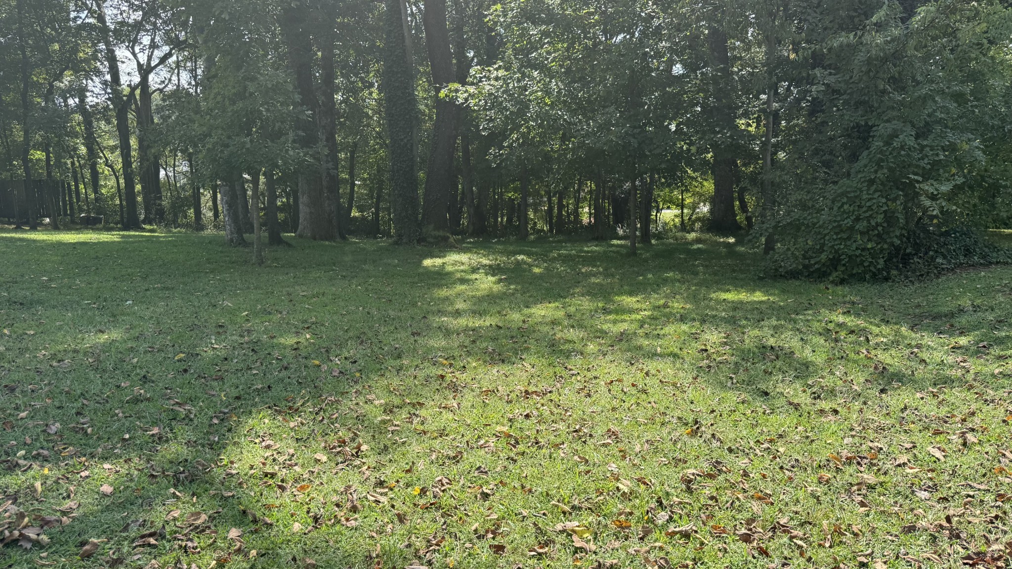 219 Waterloo Street Lawrenceburg, TN 38464 - Photo 37 of 39 a view of outdoor space with a garden
