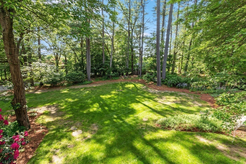 2 Pomfret Road Chelmsford, MA 01824 - Photo 31 of 38 a view of yard with green space
