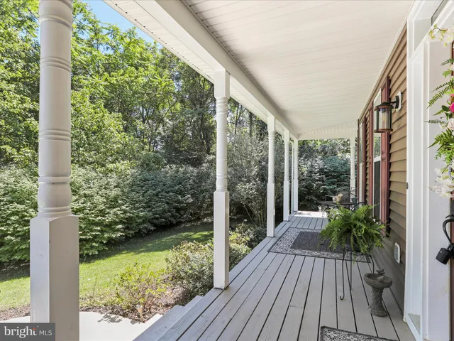 a view of backyard with plants and wooden floor