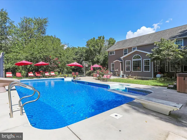 a view of flowers and flowers in a garden