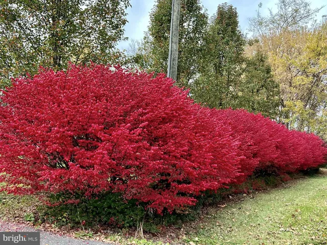 $659,900 | 112 Chimney Drive, Bunker Hill, WV 25413